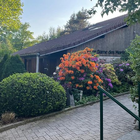Notre Dame Des Monts Ban-sur-Meurthe-Clefcy Exterior foto
